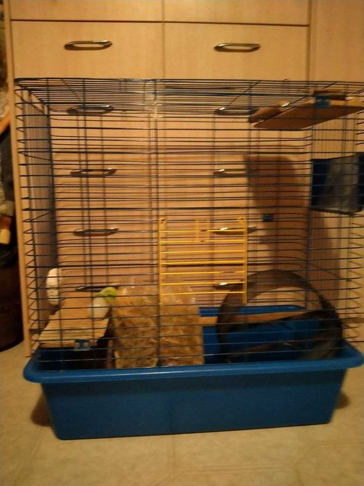 клетка для питомцев,
