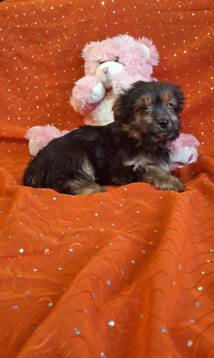 Дівчинка чикає на родину