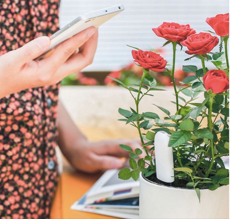 Анализатор почвы с приложением Flora Flower & Grass Monitor