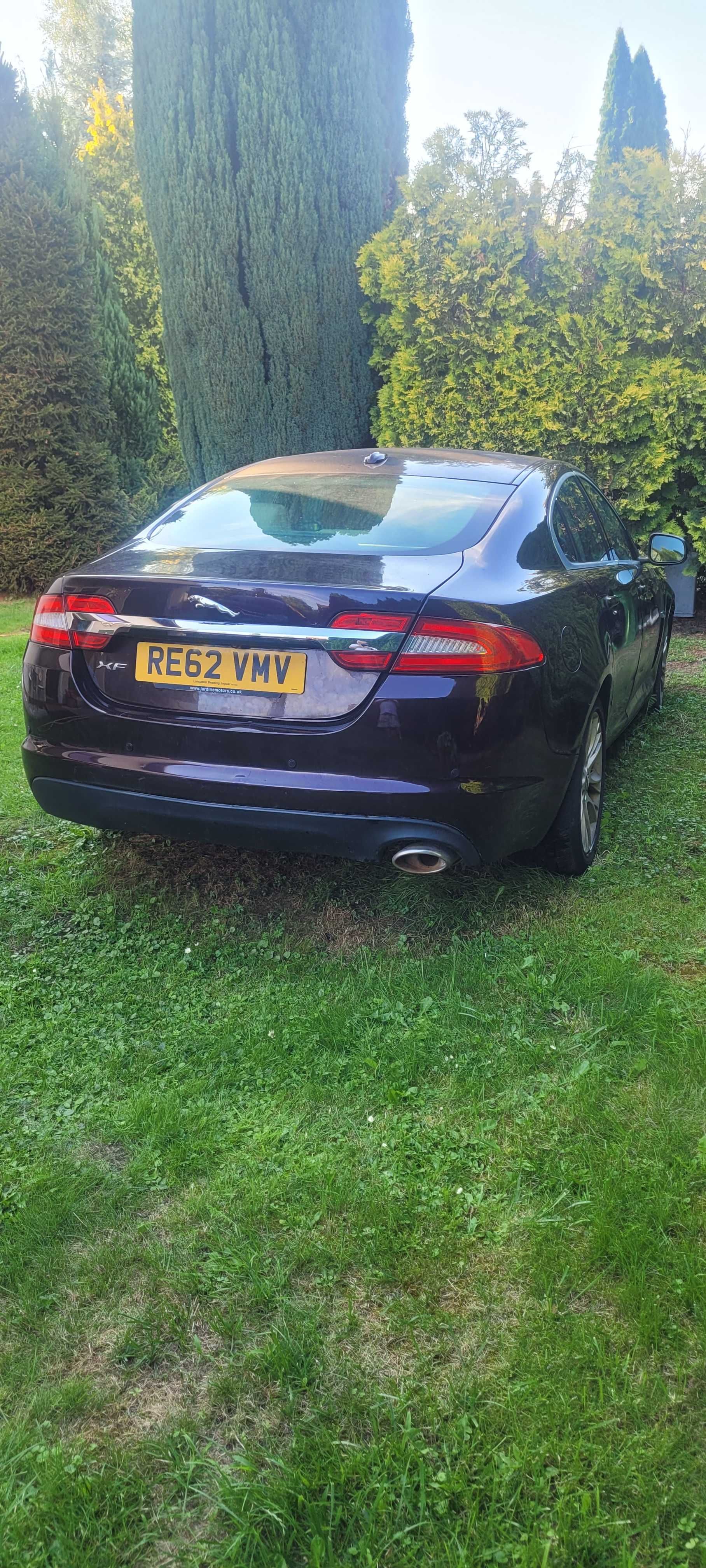 Anglik Jaguar XF