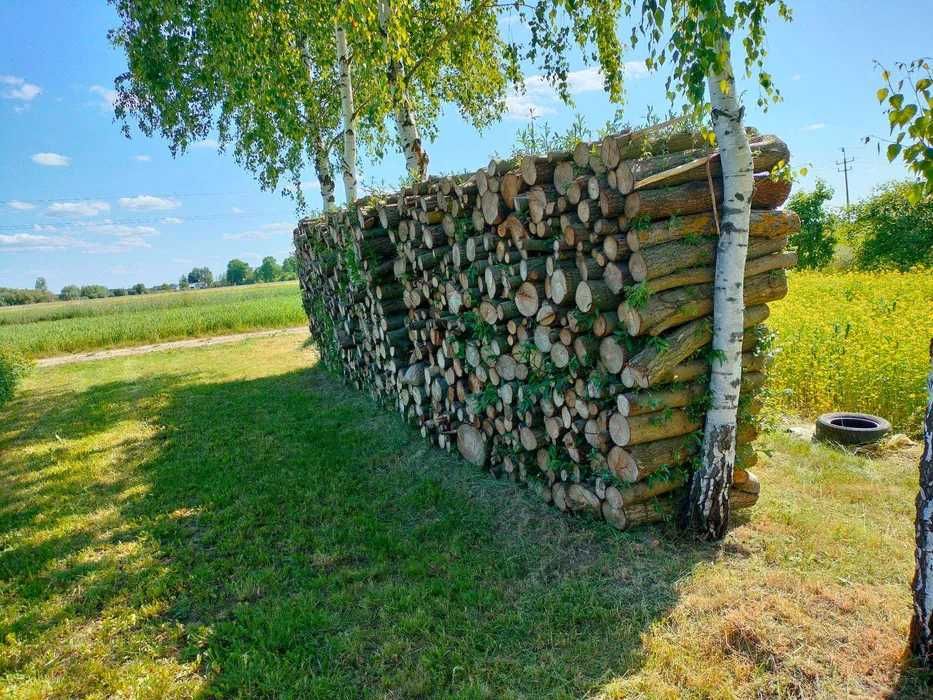 Wierzbowe drewno opałowe ~26m^3.