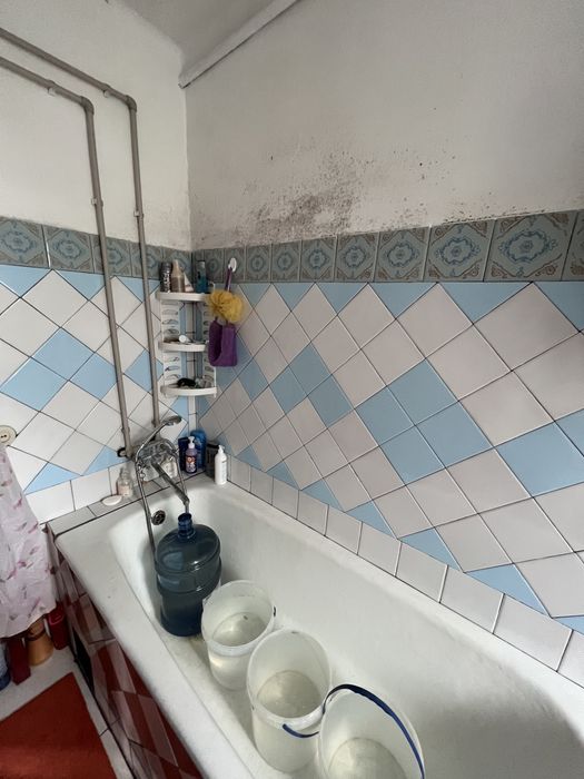 Будинок цегляний, газ, великий сад, гараж, господарські споруди