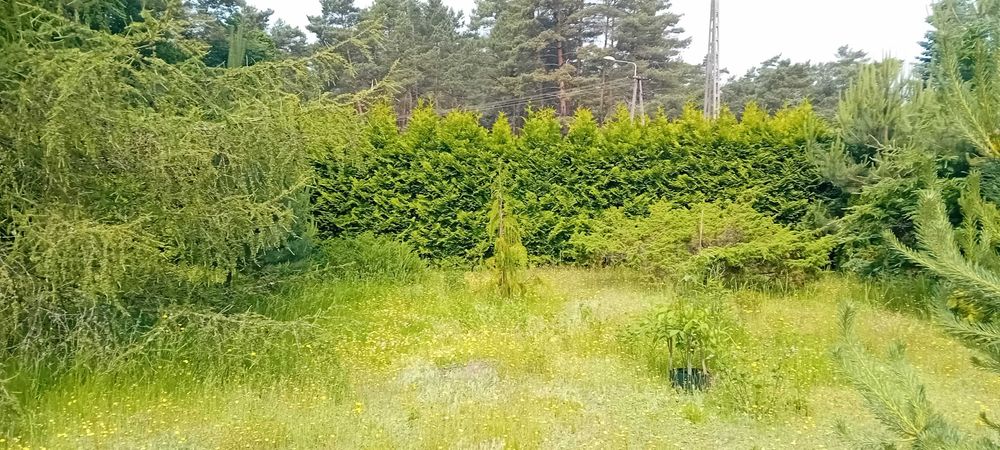 Działka ul Gajowa (Góry)