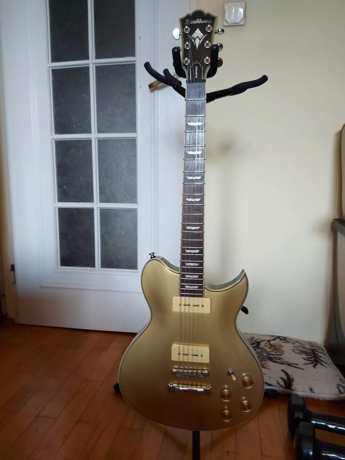 Washburn WI-66 PRO G