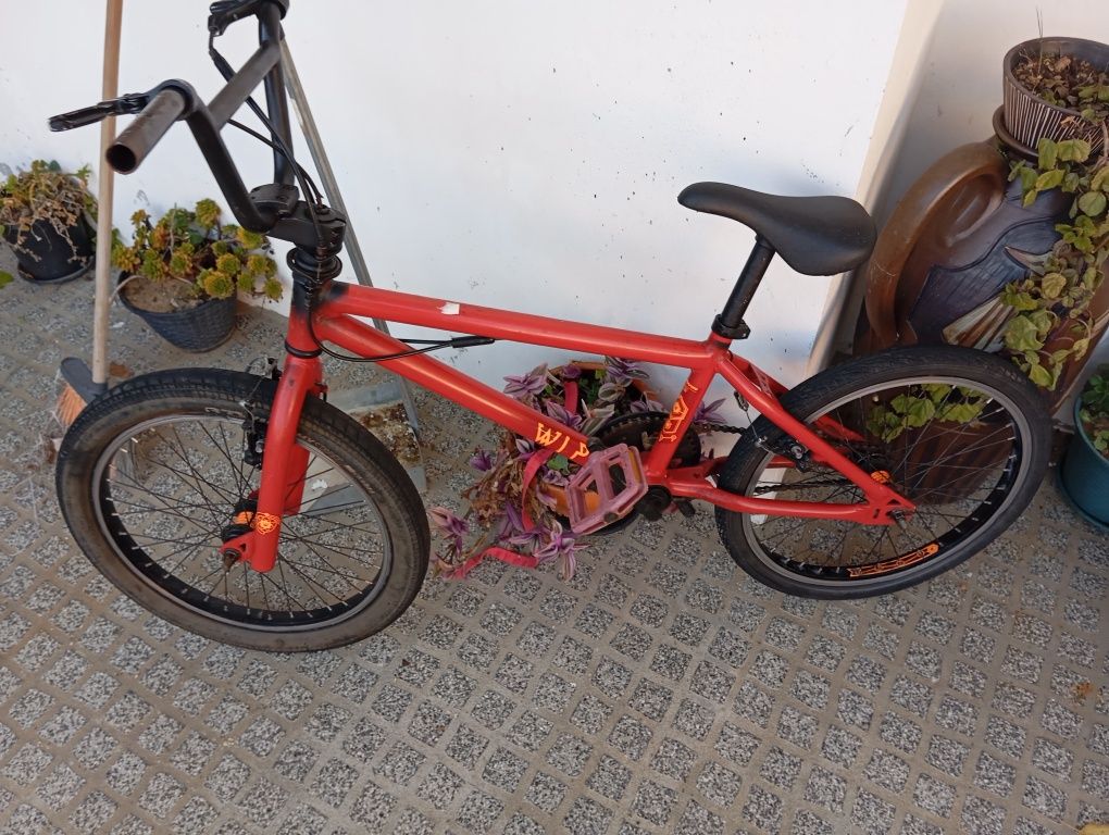 Bicicleta friwstail