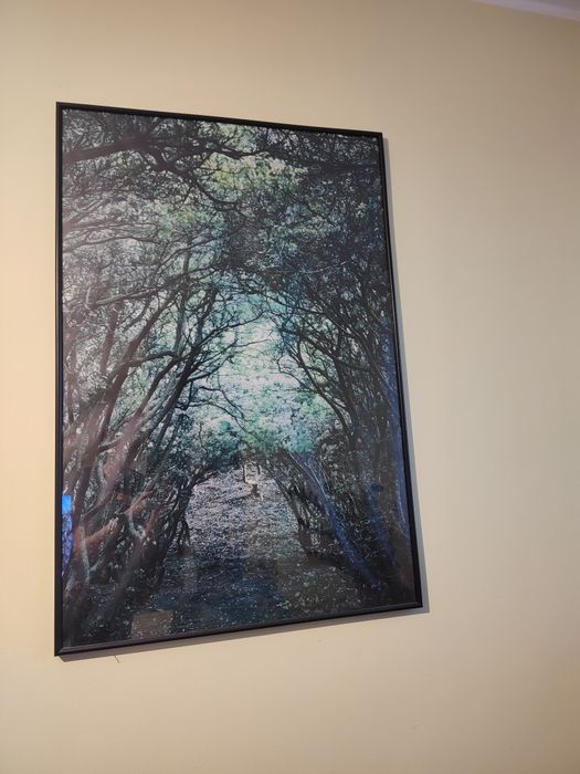 Plakat tunel leśny w ramie