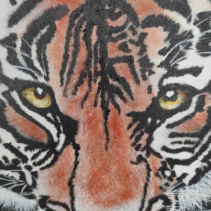 Duzy obraz akrylowy na plotnie tygrys