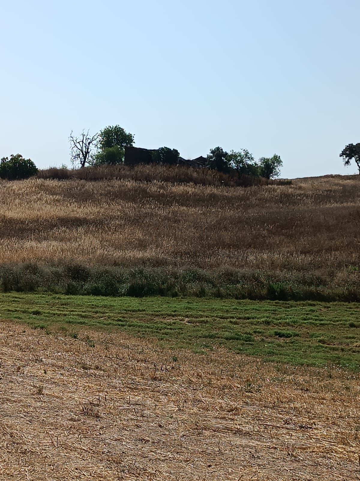 Herdade de 27 hectares