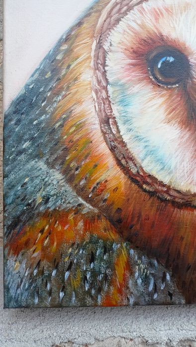 Płomykówka. Sowa. Obraz olejny, certyfikat. Cena -50% tylko do 7.12