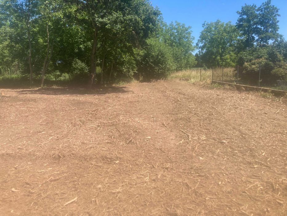 Karczowanie, czyszczenie, działek, rekultywacja, gruntów, mulczowanie