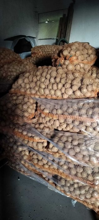 Ziemniaki Vineta drobne ,Wineta