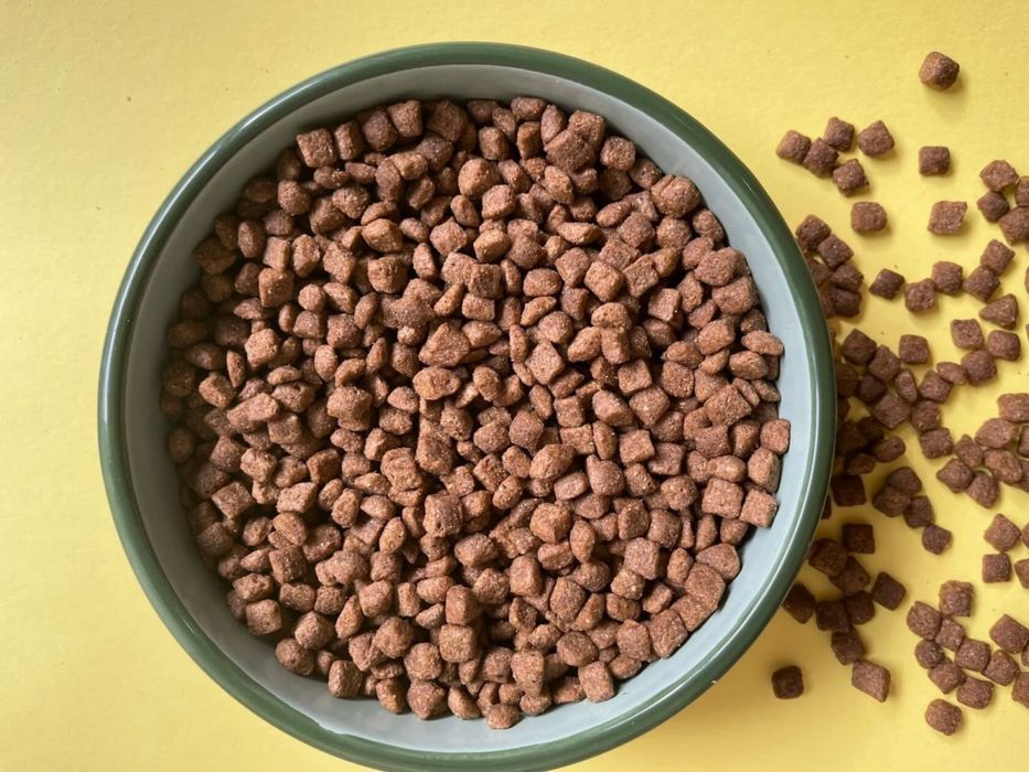 Корм (преміум) для котів і кішок - Buddy Food з качкою та клюквою