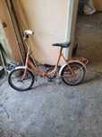 Rower Pelikan Prl