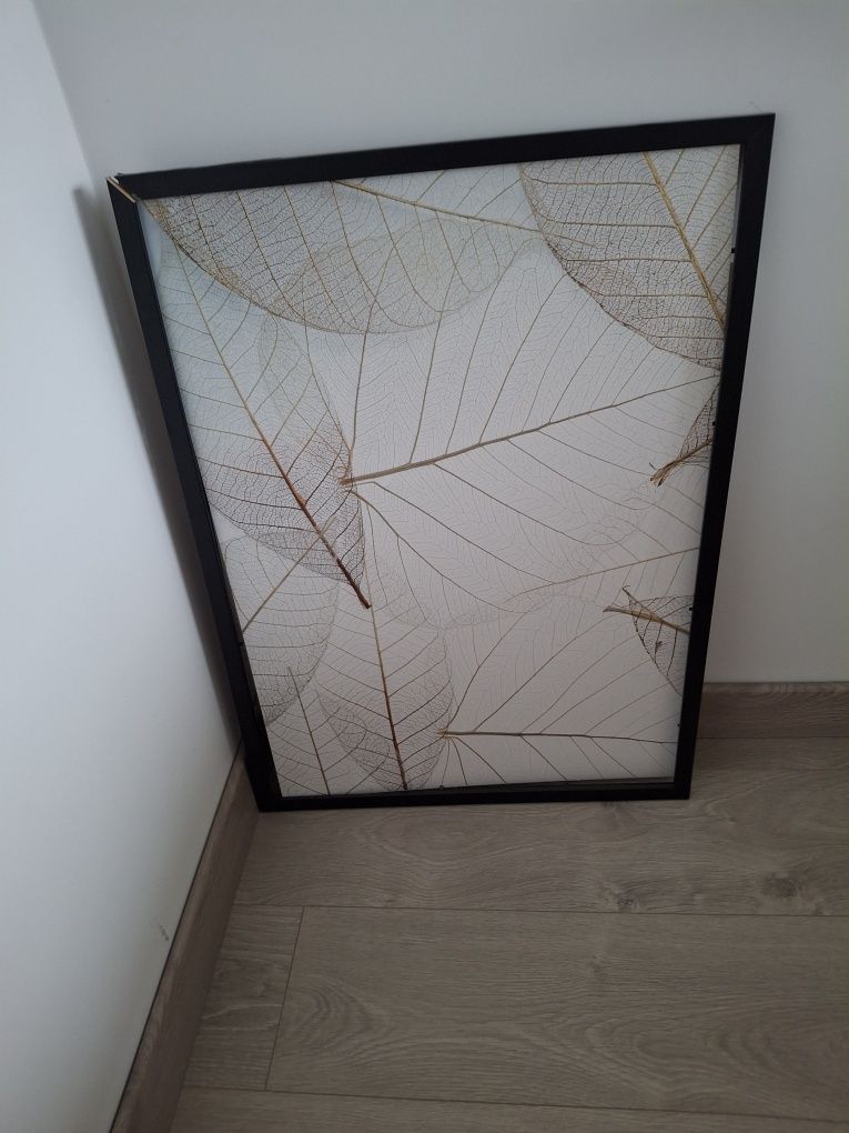 Obrazy dyptyk 53x73cm uszkodzone