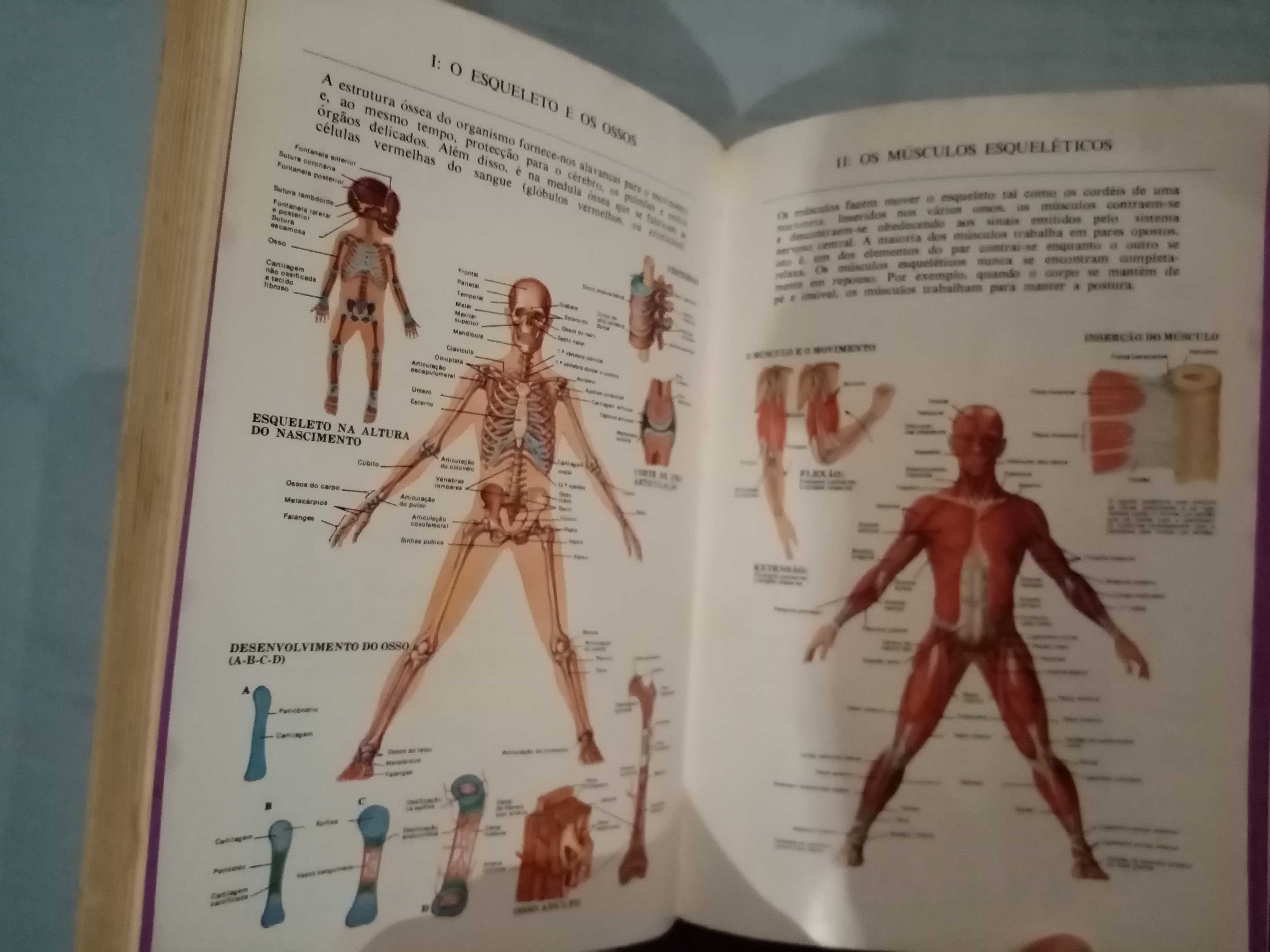 O Grande Livro da Saúde Enciclopédia Médica do Lar