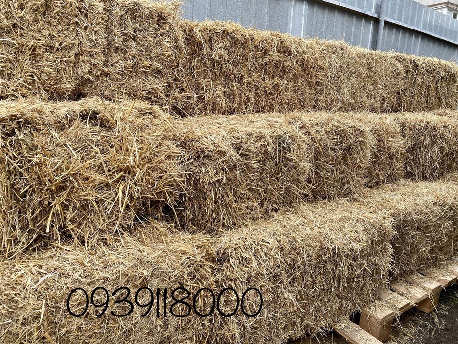 Сіно 2025 рік в тюках Солома Сено Лугове тюки