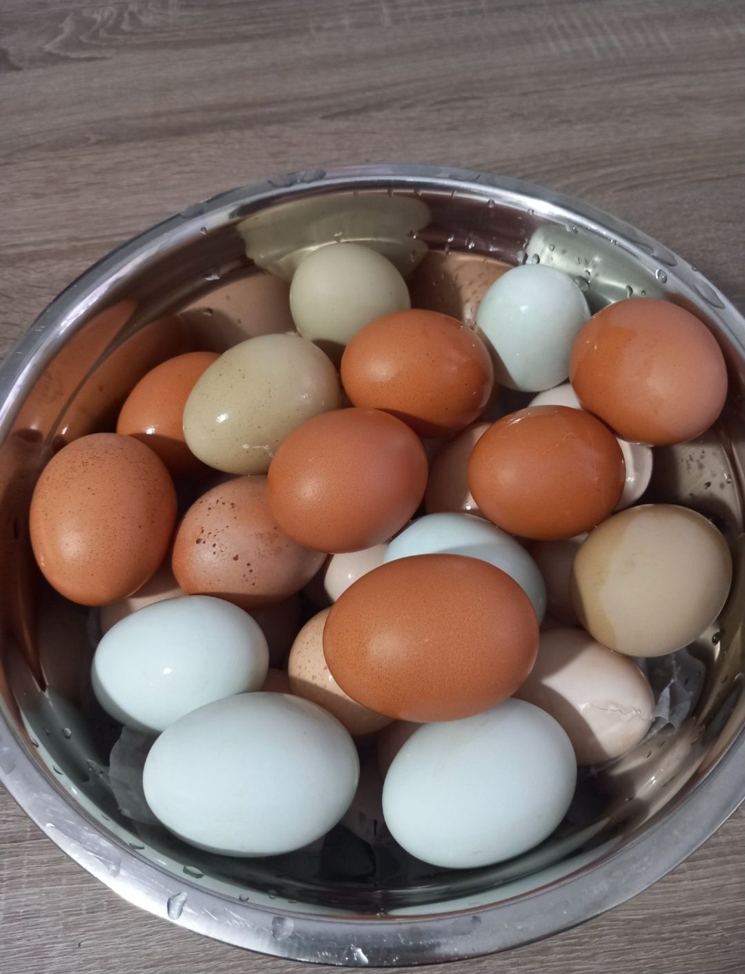 Sprzedam kurczaki różnych ras