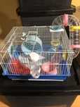 Gaiola hamster nova