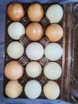 Продам яйца куриные домашние