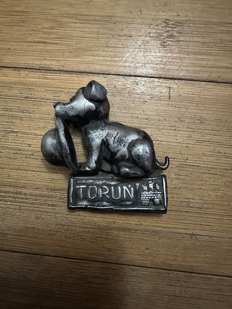Magnes piesek z kapeluszem z Torunia Toruń