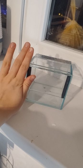 Terrarium dla pająka modliszki itp