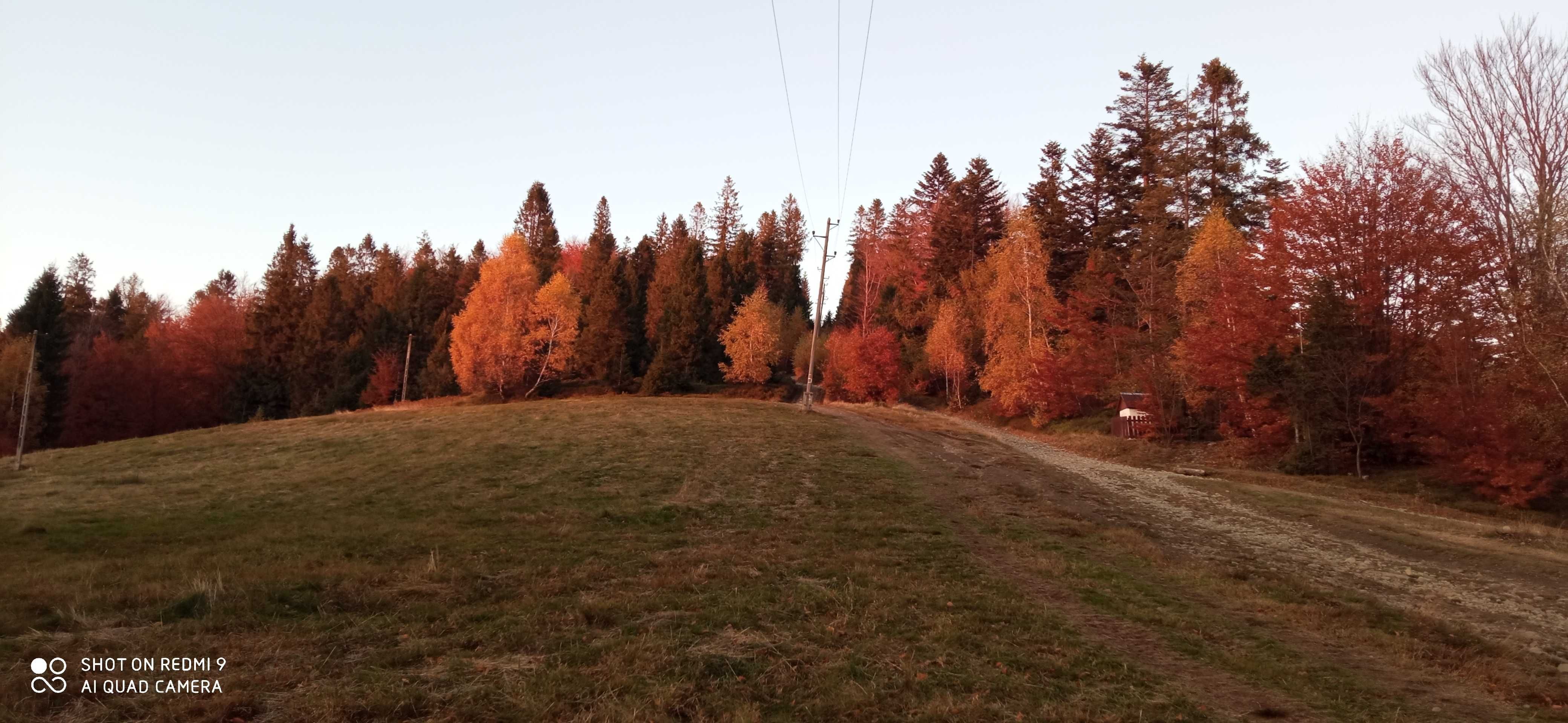 STARA CHATA - noclegi (wolne terminy)