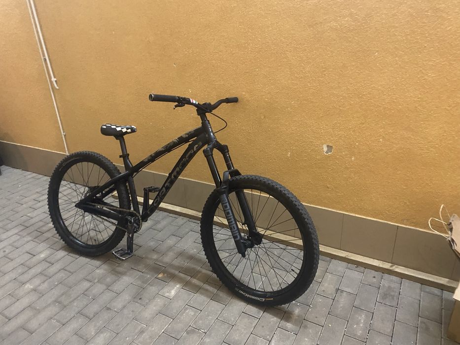 Dartmoor hornet custom