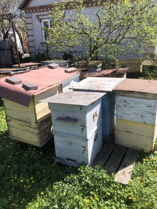 Продам Вулики Б/у для бджіл (та других животних).