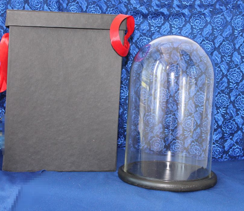 Скляний купол  для декору