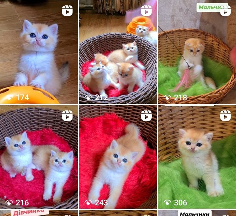 Завітайте до нас на сторінку і оберіть