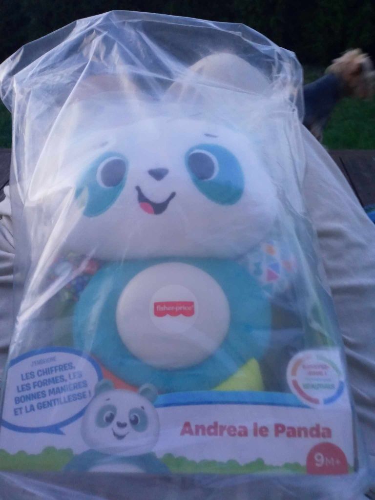 Nowa zabawka Fisher price dla dzieci