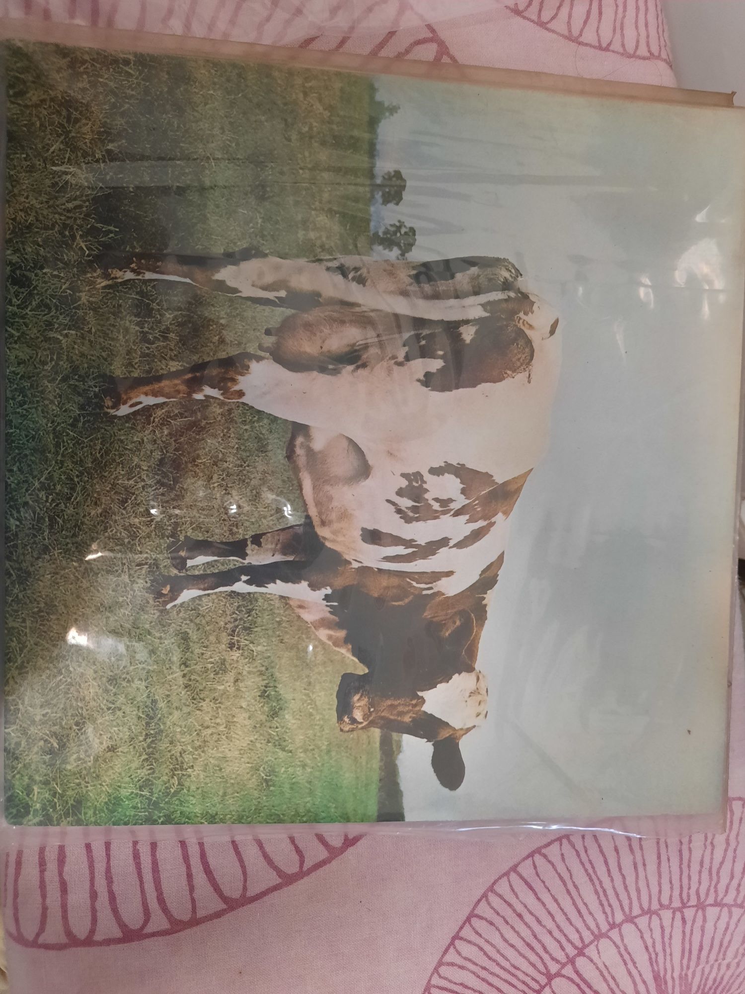 15-Pink Floyd - Vinis em Bom Estado