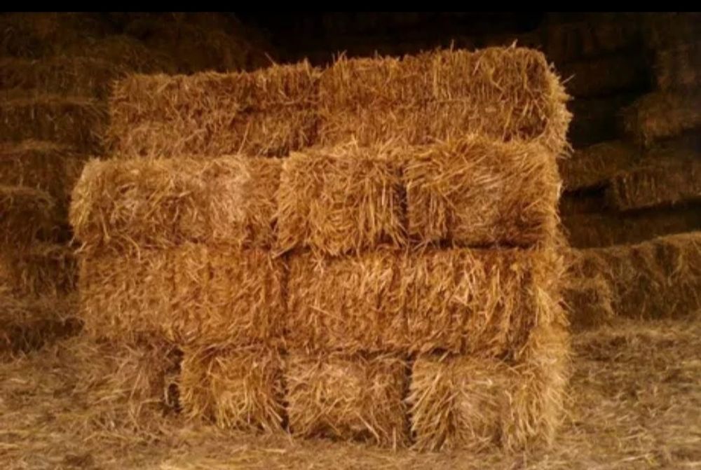 Продам тюки пшеничні  та ячміні і сіна