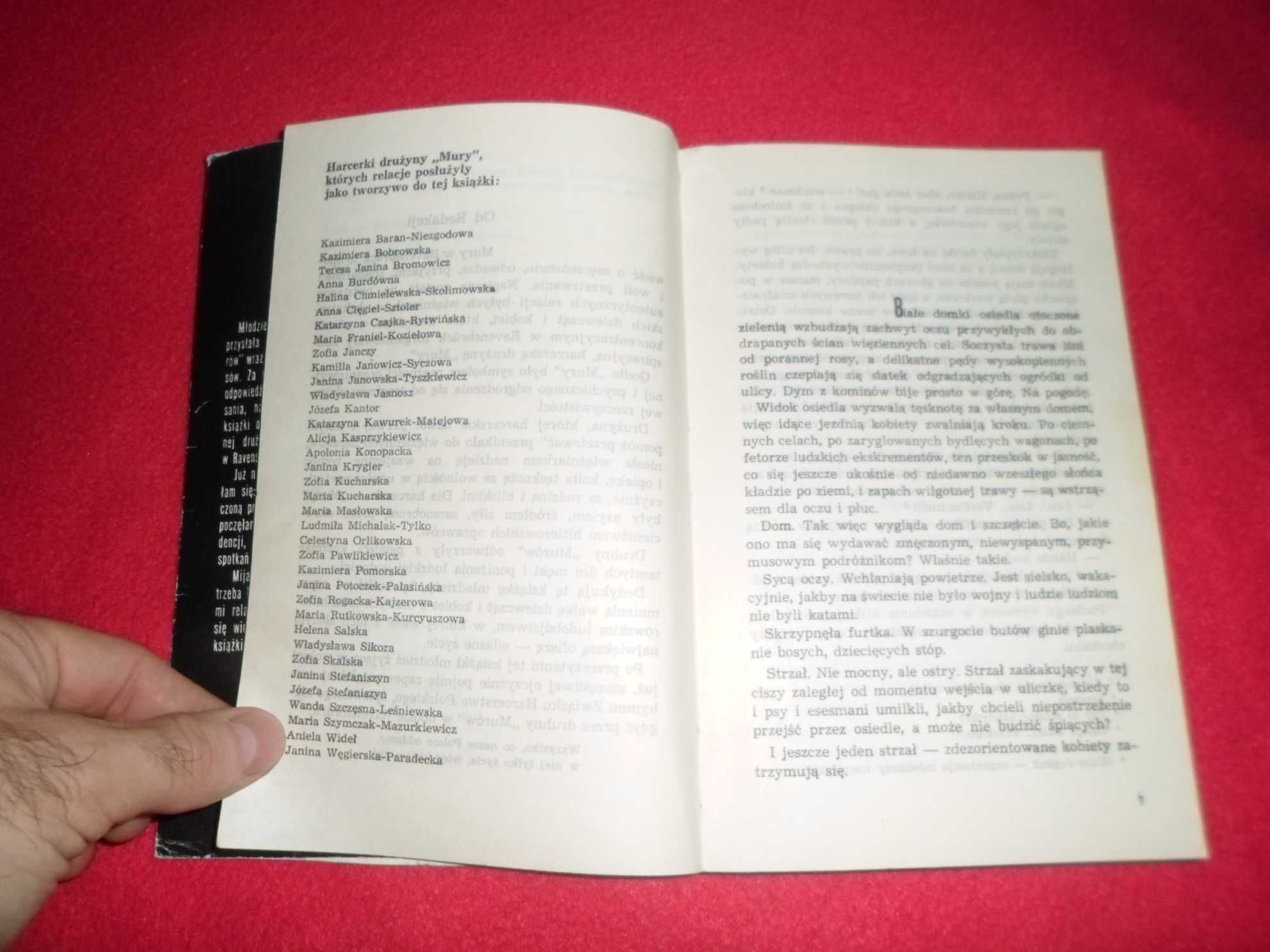 Danuta Brzosko-Mędryk - Mury w Ravensbruck