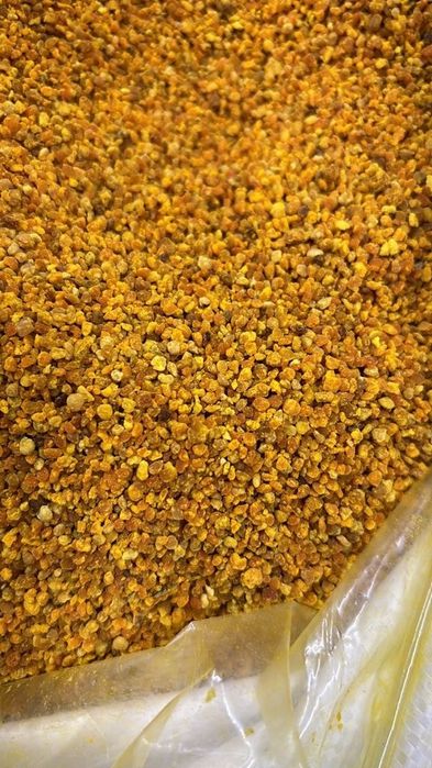 Pyłek Kwiatowy świerzy 2025 pszczeli