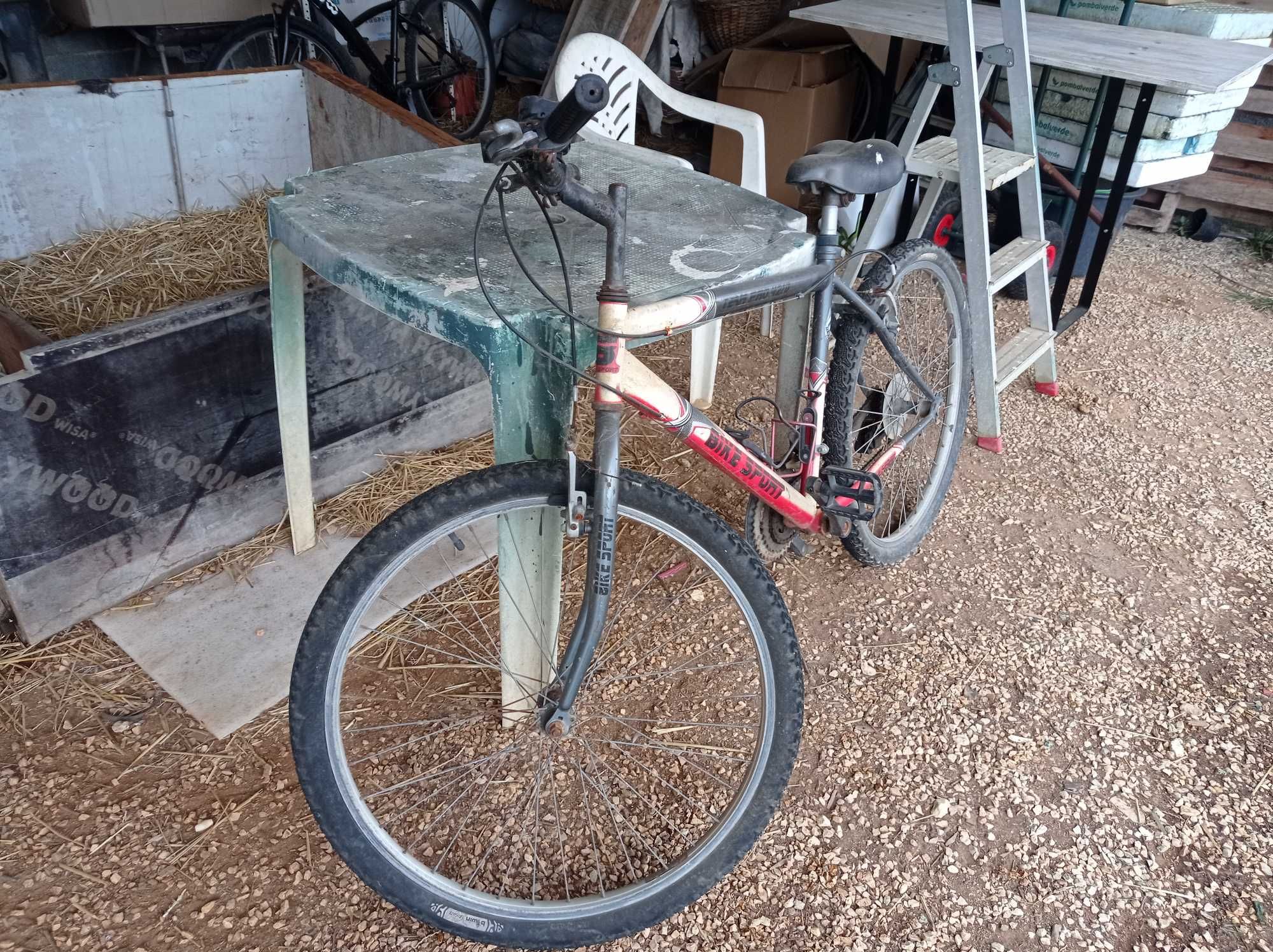 Bicicletas para venda, a bom preço.