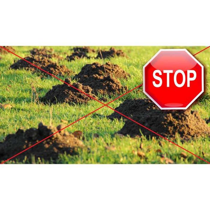 SIATKA NA KRETY bardzo mocna 400m2 - 2mx200m 33g/m2