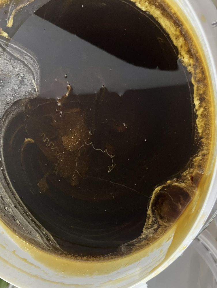 miod, miod gryczany naturalny pszczeli rodziny matki sloik wieczka