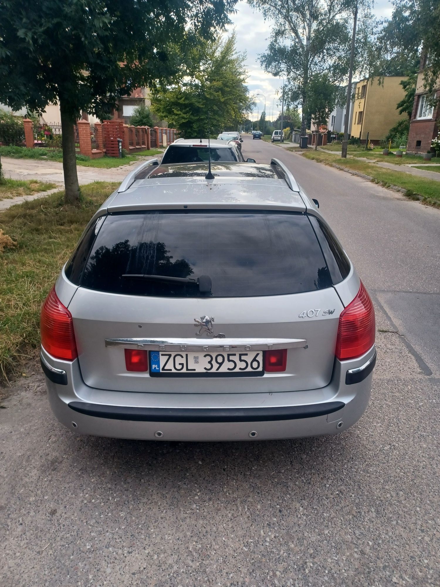 Peugeot 407 2.0 2005r