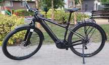 Електровелосипед Cannondale Canvas Neo 1 (Bosch 250W 85Nm Розмір L)