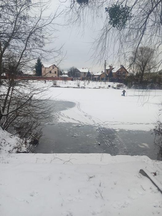 Дом Посуточно Киев Осокорки