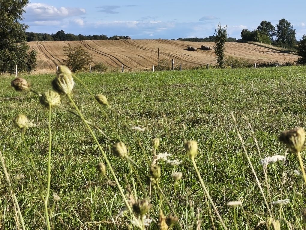 Piękne działki w okolicy jeziora Narie. Cisza natura. Super inwestycja