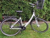 Rower giant 28 damka
