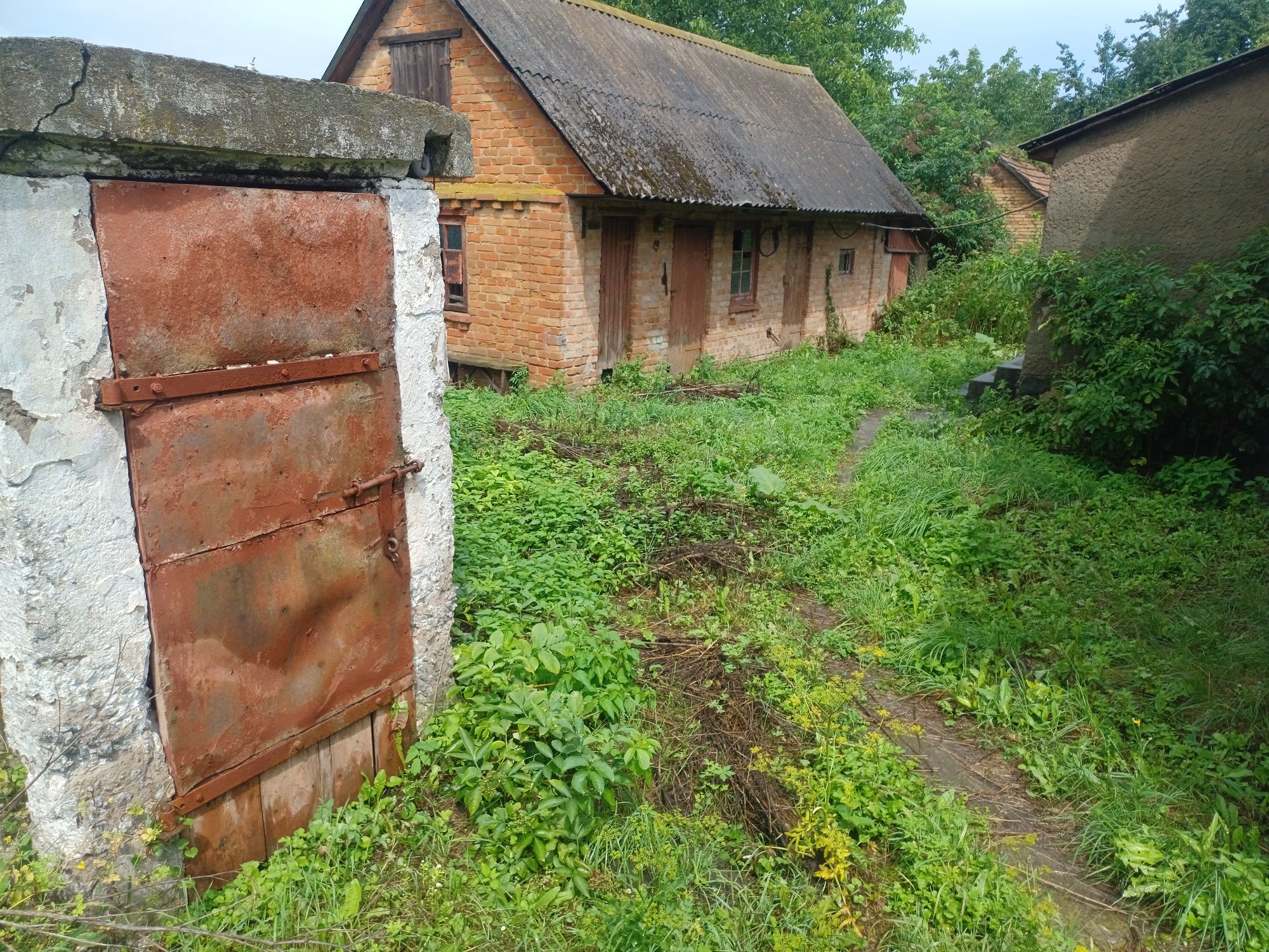 Продам будинок у с. Вільшанка