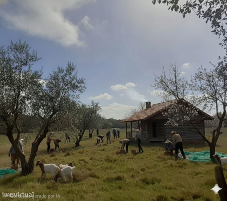 Moradia e 3 hectares terreno no Alto Alentejo em Nisa