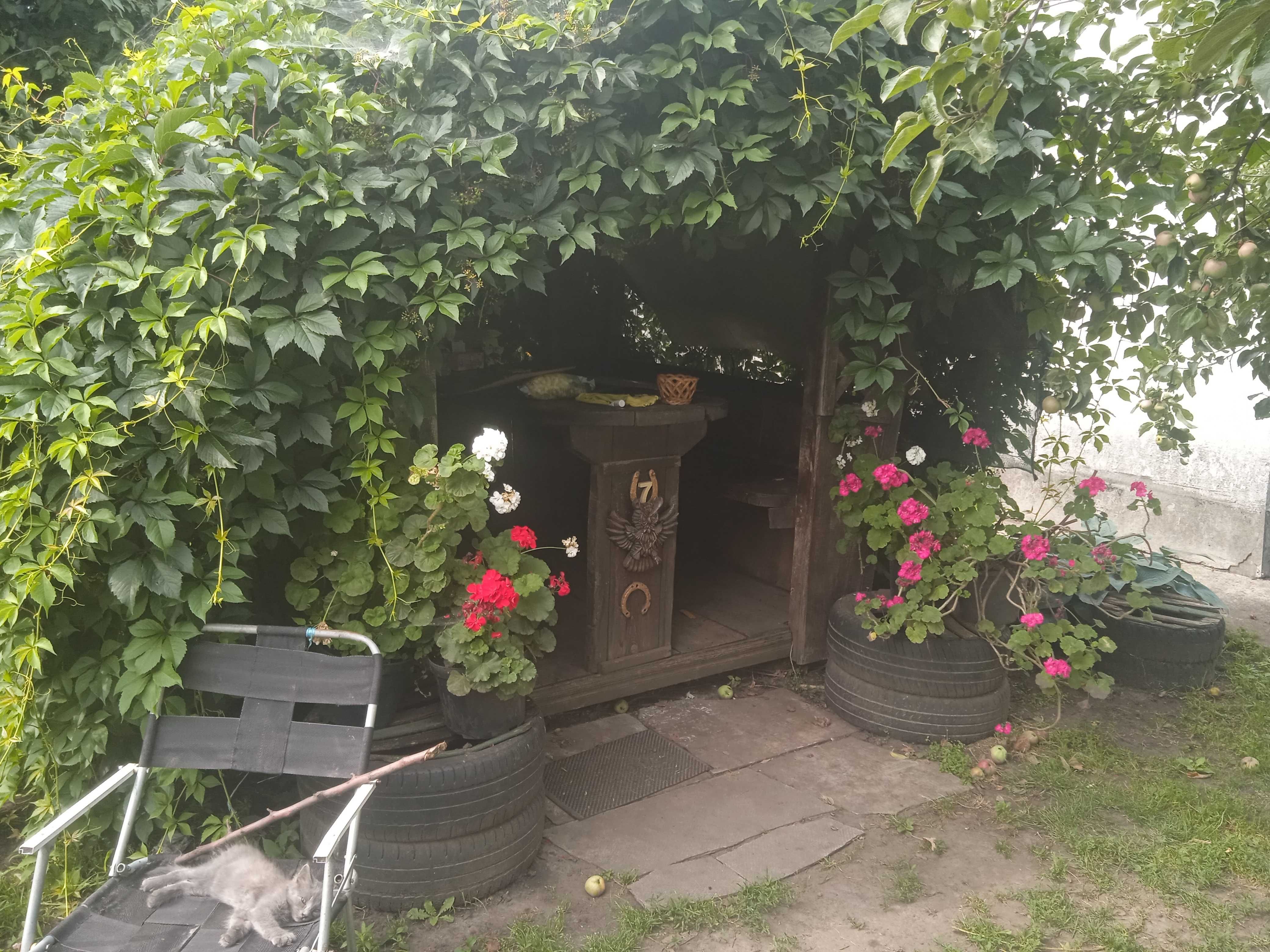 Продам будинок із земельною ділянкою