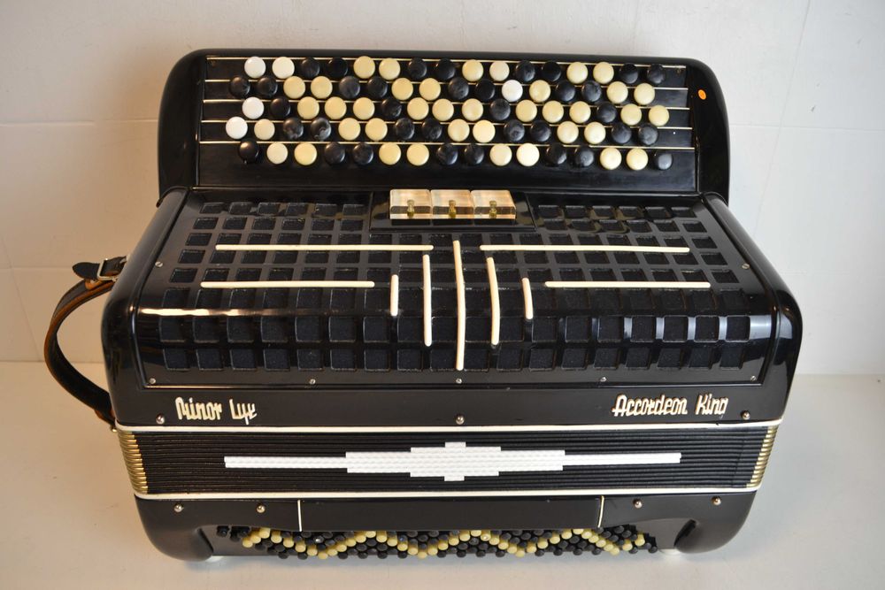 Acordeao 3 Voz Com  Mala de transporte. N 438