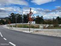 Lotes Pinheiro Guimarães
