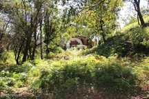 Quintinha com 32.270 m2 em Amares, Braga