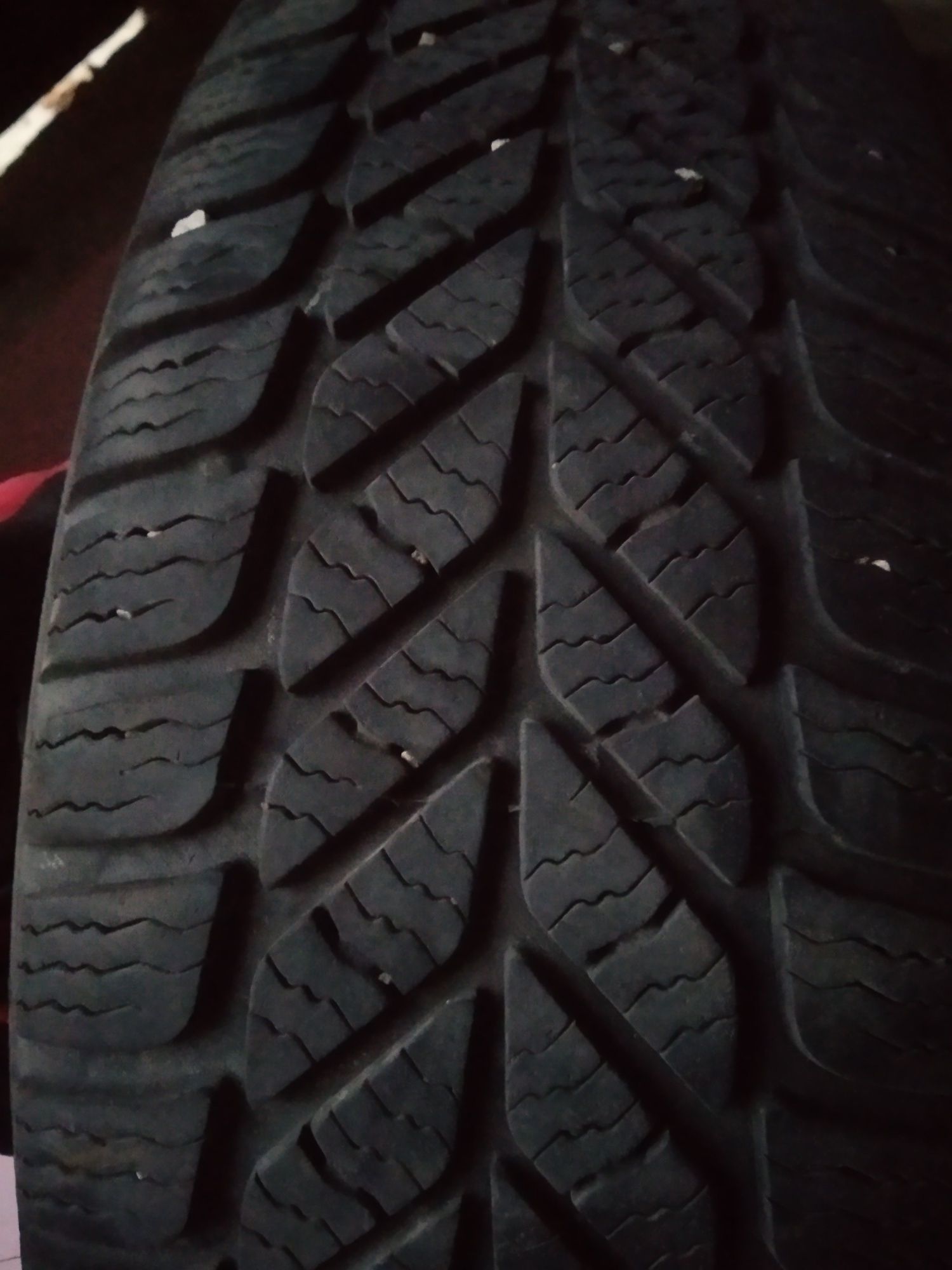 Dębica frigo 2  185/60 R 14